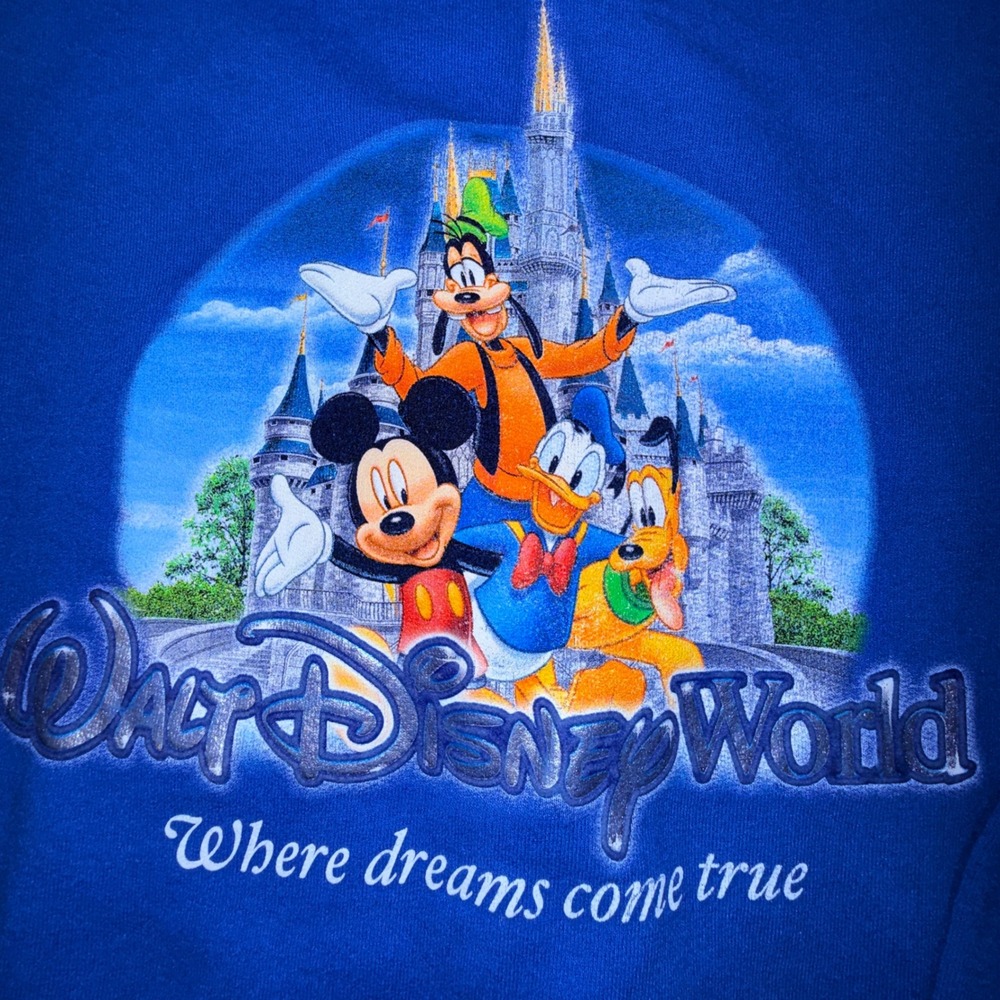 Disney World Zip Up Hoodie Unisex S Blue Mickey Friends Castle Graphic